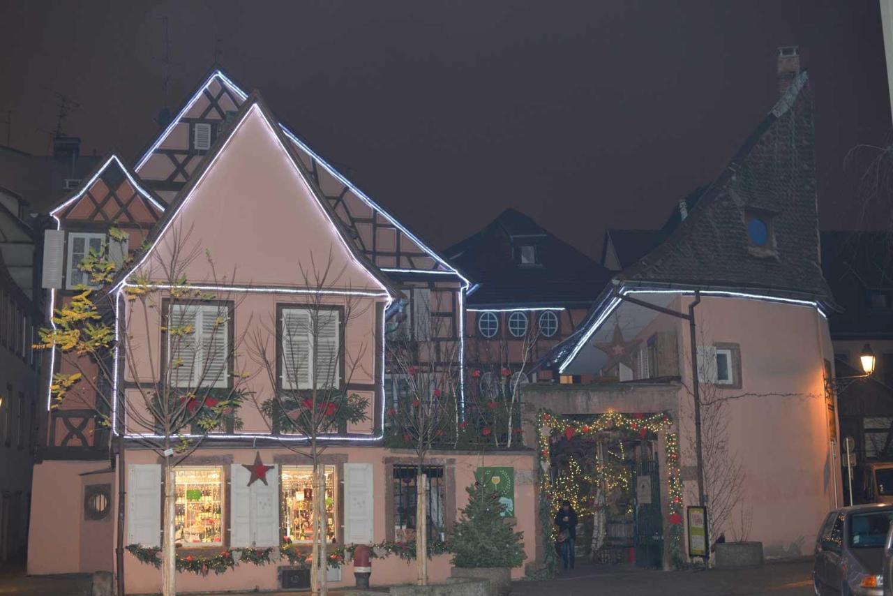 Chez Myriam Bed And Breakfast Studio Parme Colmar Dış mekan fotoğraf