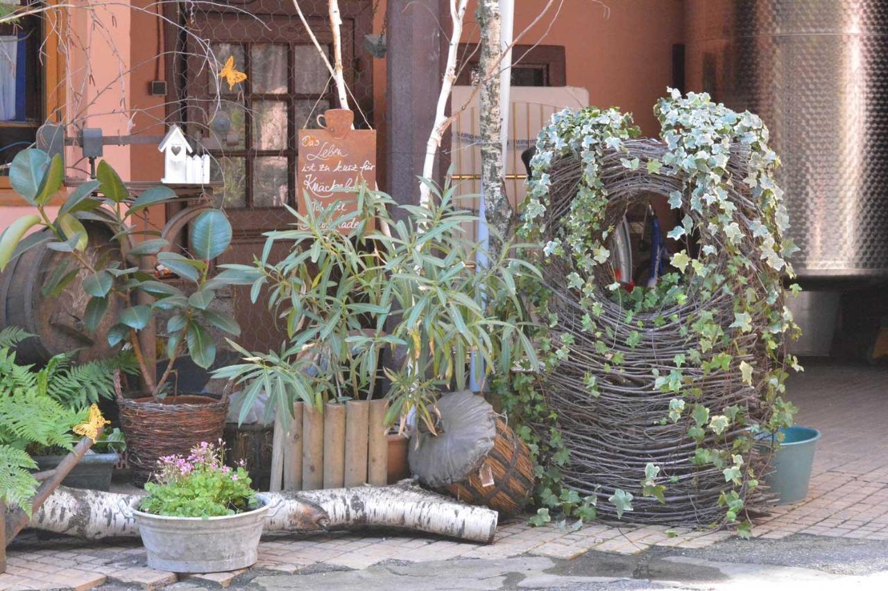 Chez Myriam Bed And Breakfast Studio Parme Colmar Dış mekan fotoğraf